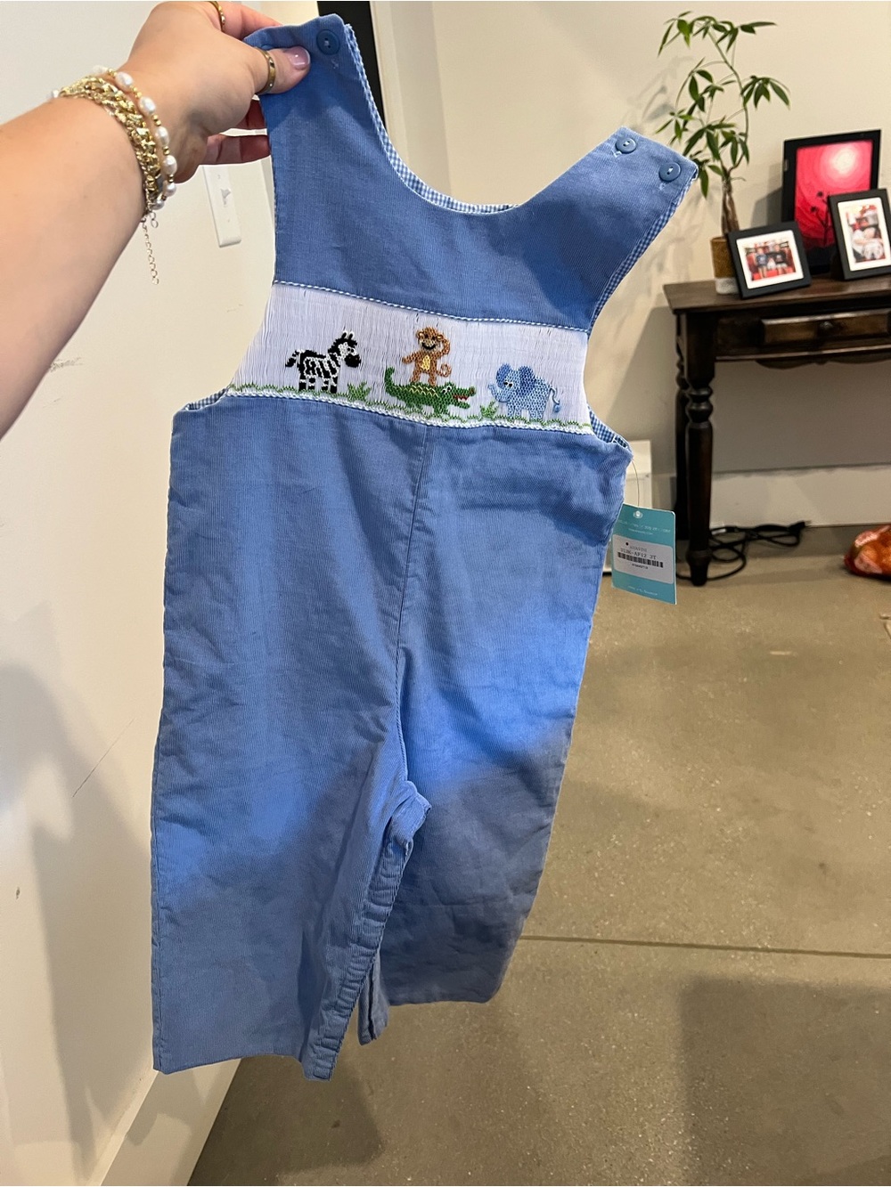 Blue Smocked Safari Animal Overalls for Kids by